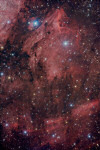 IC 5067-70 - Pelican Nebula