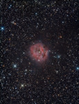 IC 5146 - Cocoon Nebula