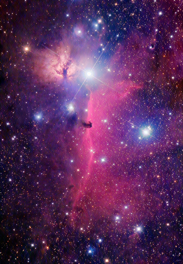 B33, IC 434, NGC 2024, NGC 2023