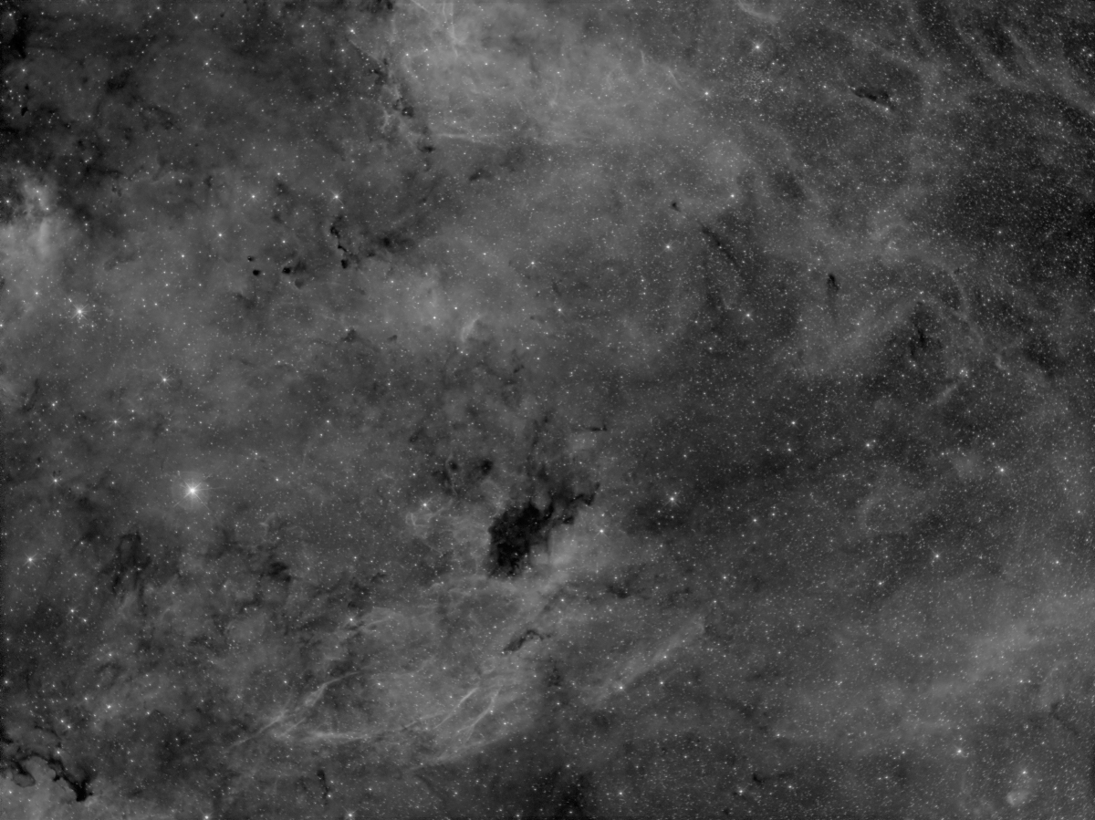 IC 1311, B343 in Ha