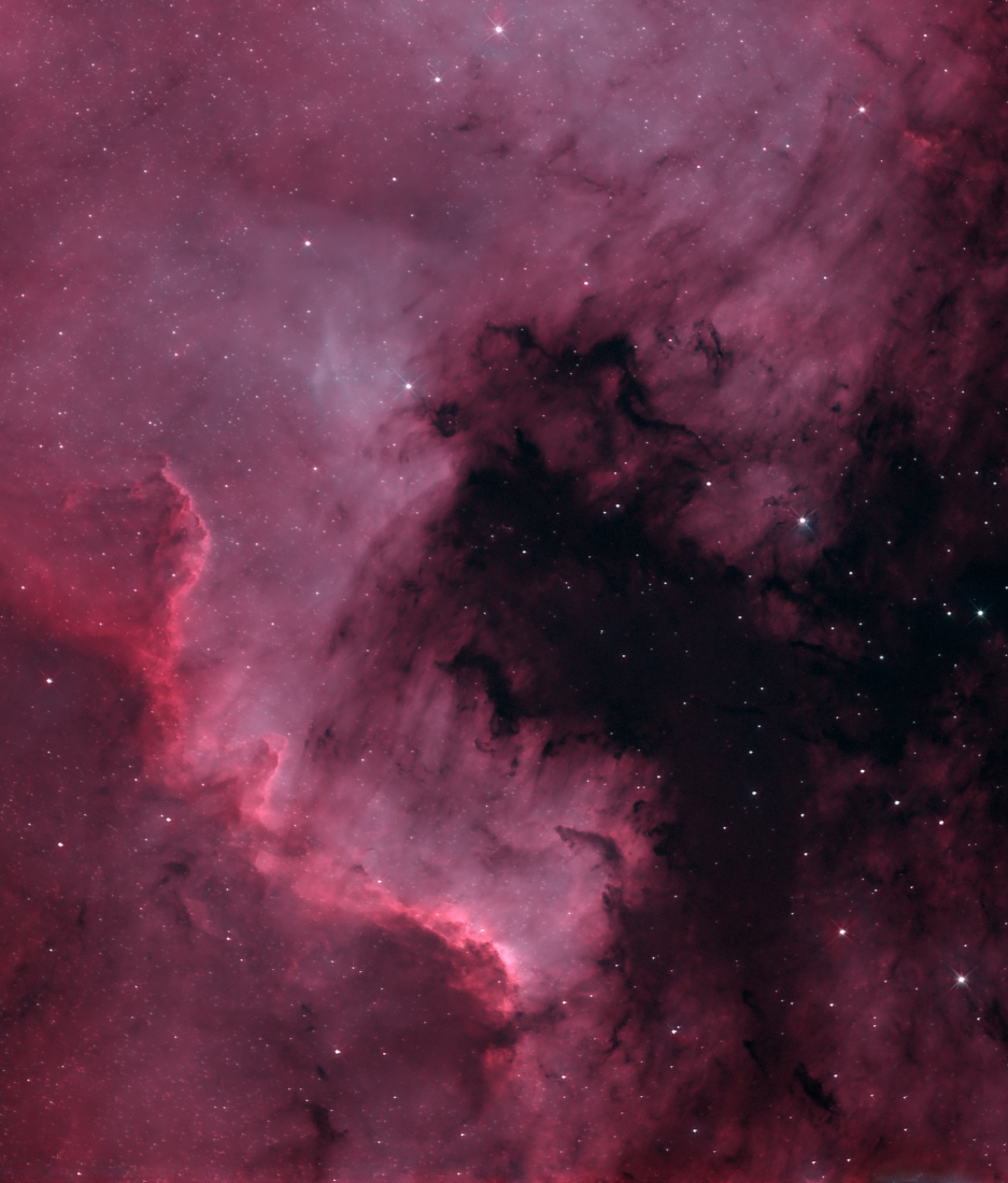 Part of NGC 7000