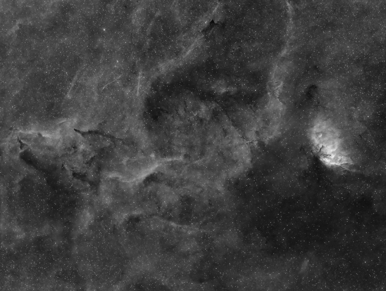 Sh2-101, NGC 6871, B146 in Ha