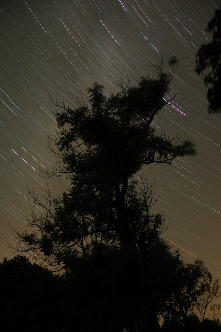 Startrail Impressions at Ebenwald 1