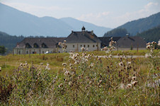 Wollgras vor dem Schloss Kaiserau