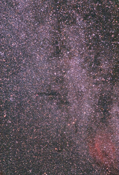 Cygnus North, 135mm