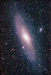 M31