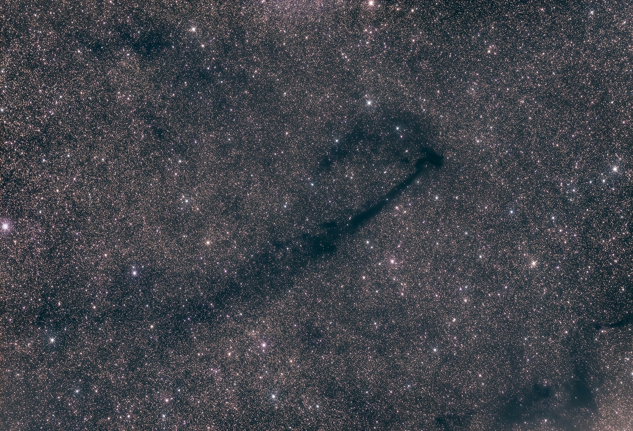 LDN 778 in Vulpecula