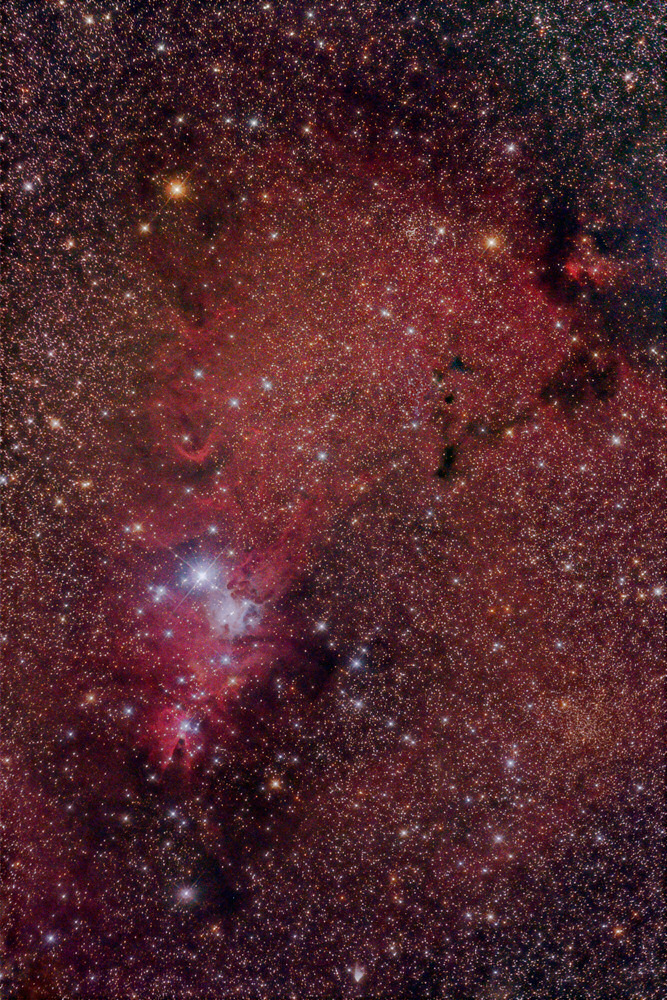 NGC 2264