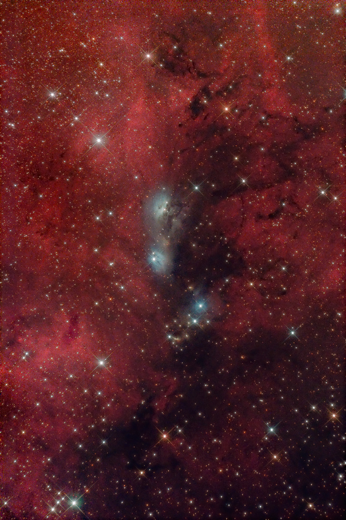 NGC 6914, vdB 132